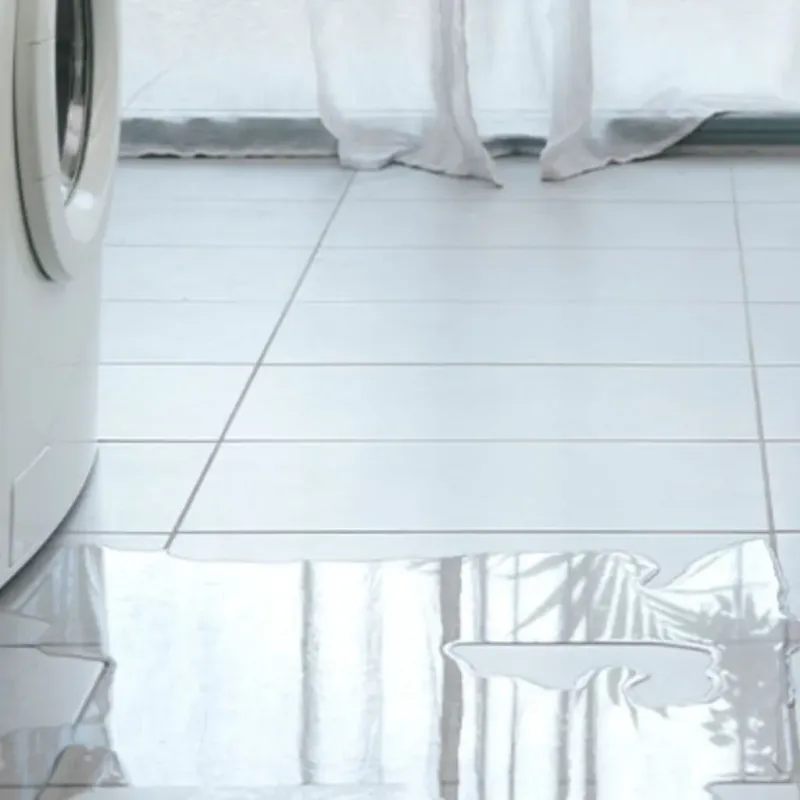Appliance Leak Cleanup in Wamac, IL