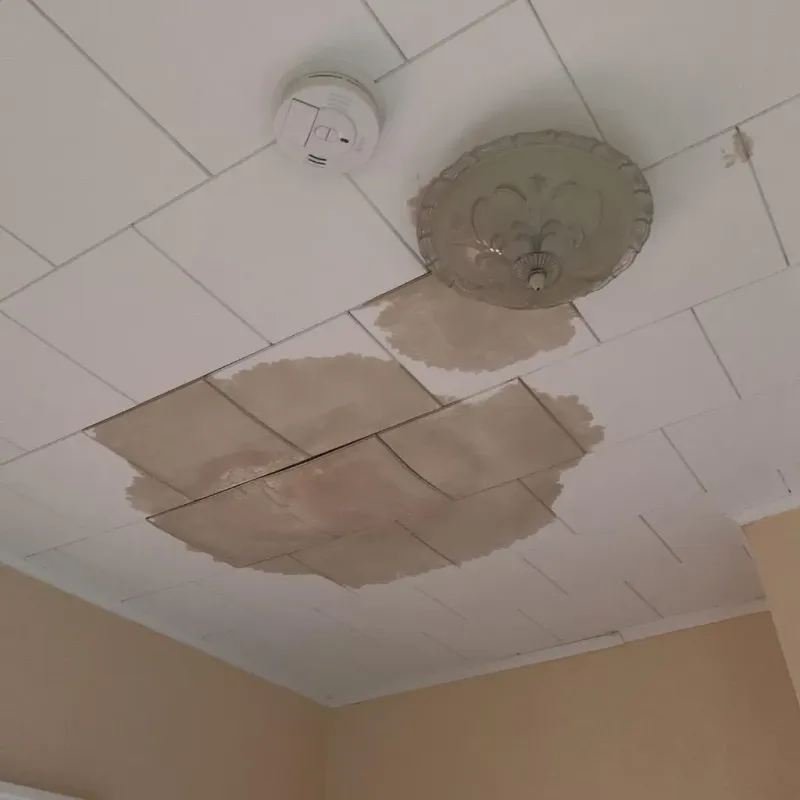 Ceiling Water Damage Repair in Wamac, IL