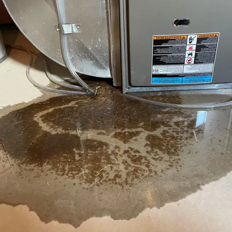 Pipe Burst and Leak Restoration in Wamac, IL