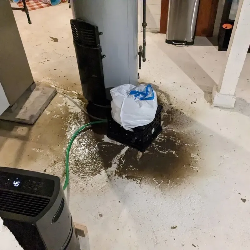 Sewage Backup Cleanup Service in Wamac, IL
